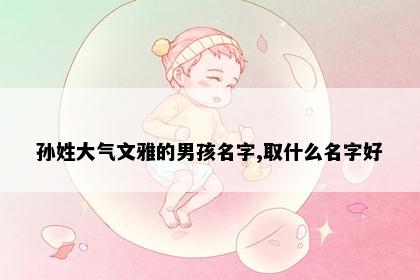 孙姓大气文雅的男孩名字,取什么名字好
