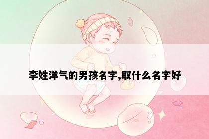 李姓洋气的男孩名字,取什么名字好