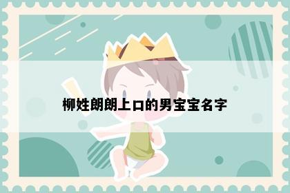 柳姓朗朗上口的男宝宝名字