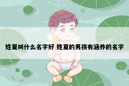 姓夏叫什么名字好 姓夏的男孩有涵养的名字