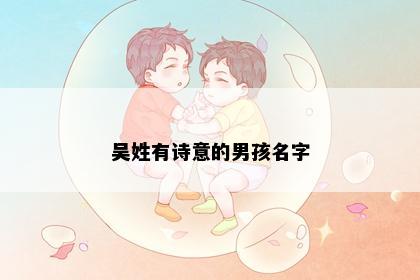 吴姓有诗意的男孩名字