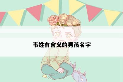 韦姓有含义的男孩名字