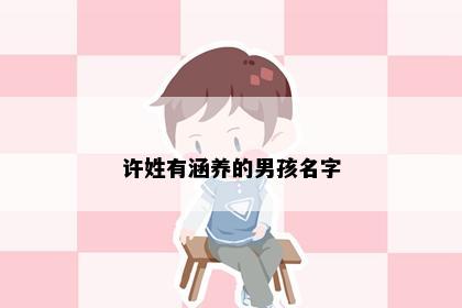 许姓有涵养的男孩名字